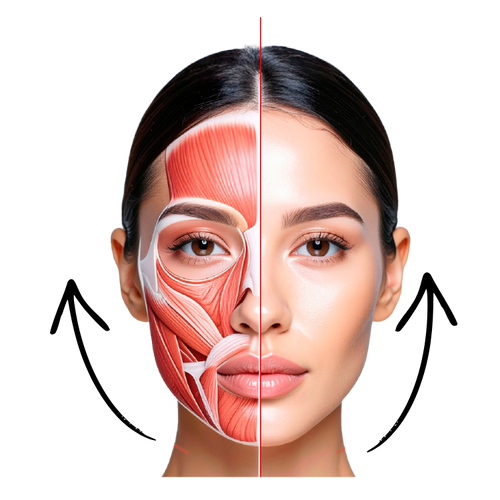 Load image 1 in gallery view. TITAN Facial RF